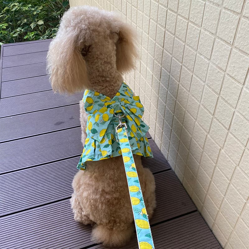 Coleira para animais de estimação, saia de verão para cachorro, estilo colete, coleira de pelúcia, Bichon, passeio, cach