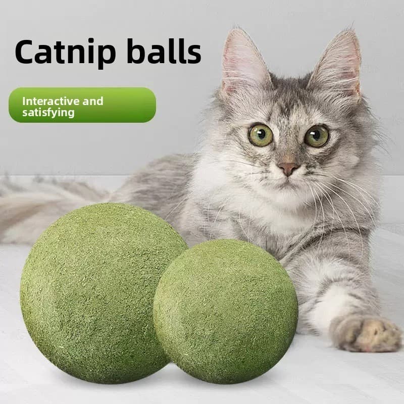 Brinquedos auto-felizes para gatos, brinquedos molares para gatos, alívio do tédio, brinquedos para gatos, suprimentos p