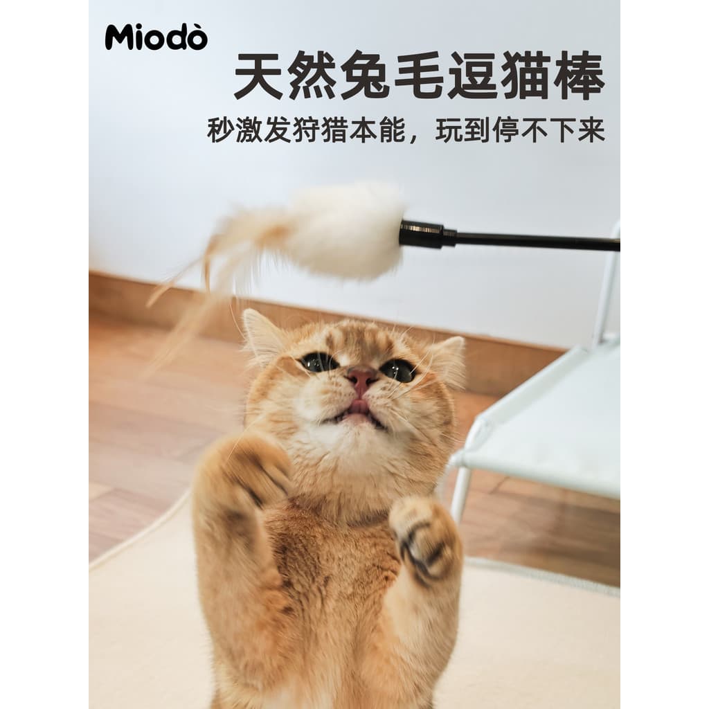 Pena de coelho Natural haste longa provocando gato vara gatinho seguro resistente a riscos mordida auto-feliz interação