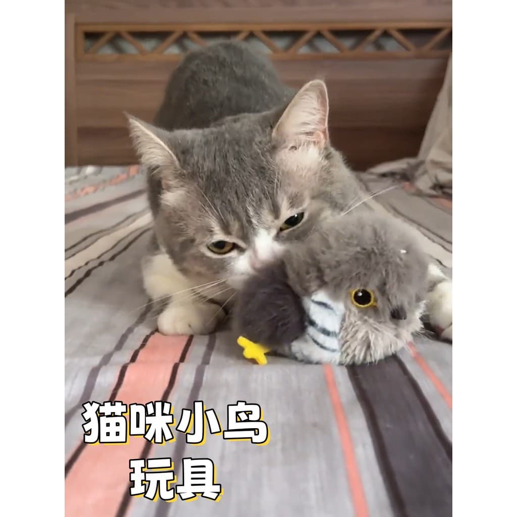 Gato gato pássaro brinquedo auto-feliz alívio do tédio ferramenta útil boneca elétrica para animais de estimação consumo