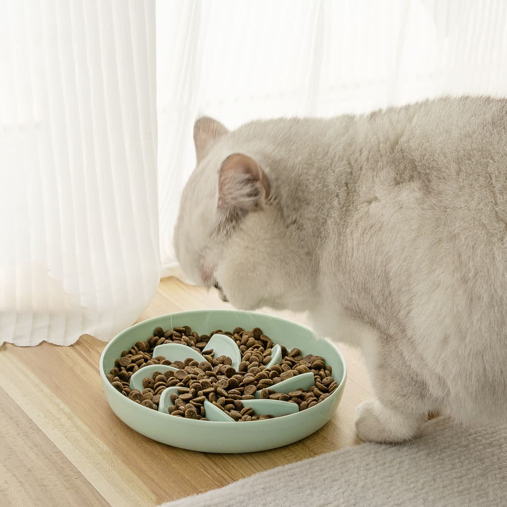 Suprimentos Para Animais De Estimação Novo Produto 2025 Design Animal Personalizado Alimentador Lento Cão Gato Tigela Ar