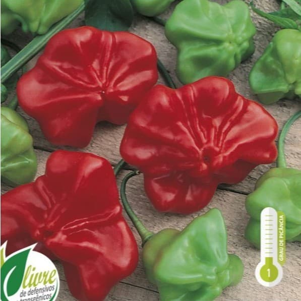 Sementes de Pimenta Cambuci Chapéu de Bispo 2,5g Topseed Hortas