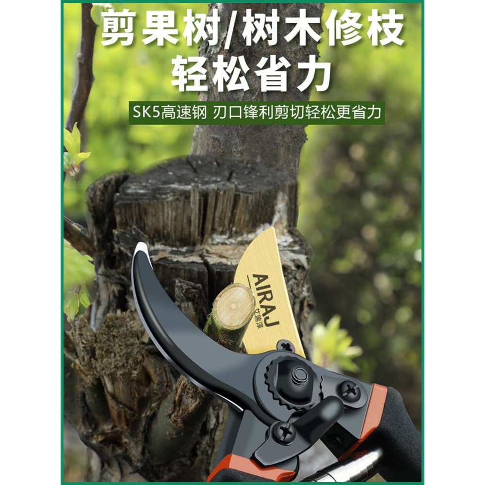 Seiko ramo tesoura especial tesouras de poda jardim árvores frutíferas jardim planta tesoura flor arte