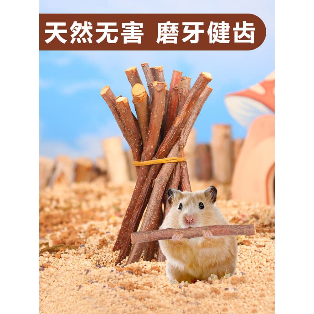 Urso dourado frésia Hamster Molar vara comestível ferramenta útil coelho maçã ramo especial lanche brinquedo suprimentos