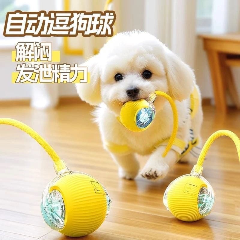 Brinquedo para cachorro, bola automática para caminhada de cachorro, filhote de cachorro, auto-feliz, alívio do tédio, r