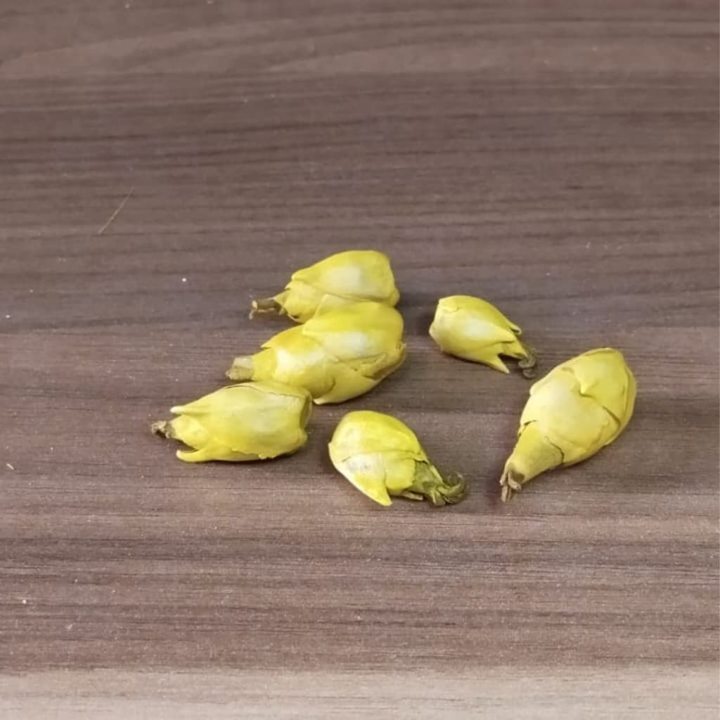 Fava de Oxum Umbanda e Camdomble !!! .
