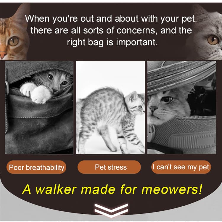 【Formato de Abelha】FM Bolsa Gato Abre a Cabeça Bolsa para Gatos e Cães/Passeio Pet/Transporte Pet/Ventilada