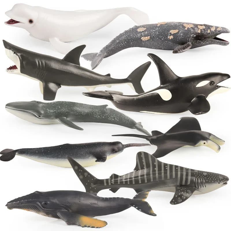 Modelo de Vida Marinha Tubarão Branco Helicoprion Megalodon Baleia Figura de Ação Animais Marinhos PVC Brinquedo Educaci