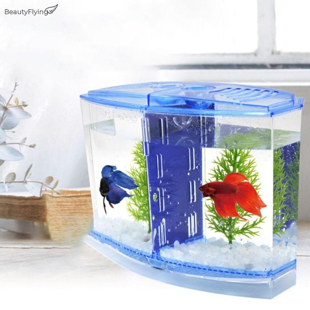 Tanque De Peixes De Combate De Grade Transparente-Caixa De Reprodução Quadrada Simples/Dupla Com Grama De Água De Plásti