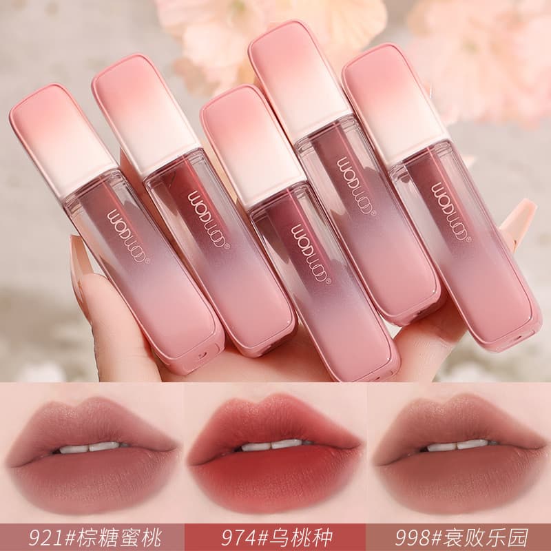 WODWOD veludo fosco impressão cor segurando brilho labial veludo fosco baixa saturação à prova dwaterproof água não é fá