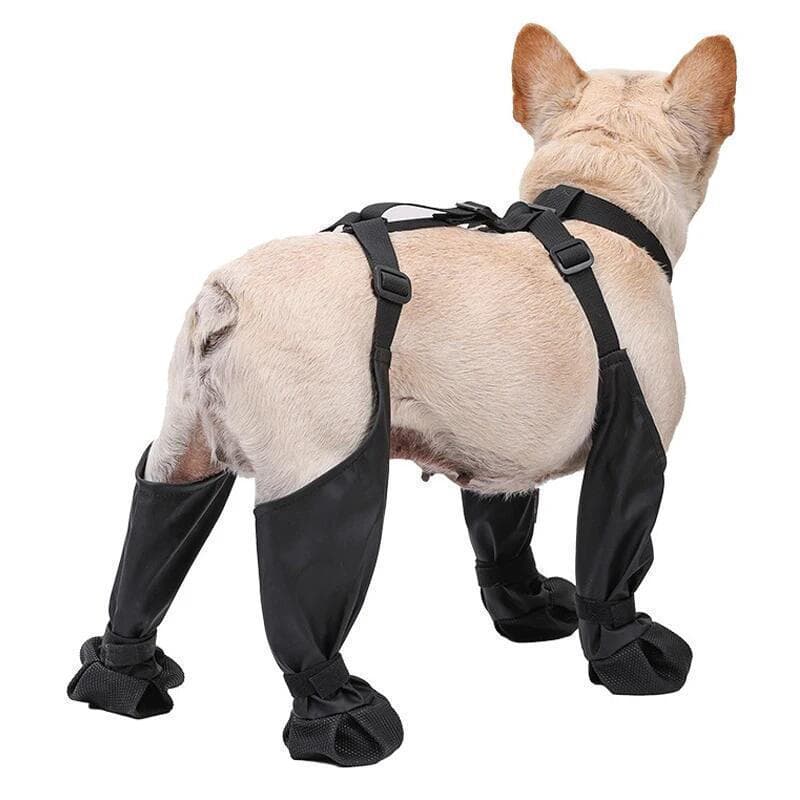 1 Conjunto De Sapatos De Chuva Para Animais De Estimação , Botas Cães À Prova D'água Pequenos Antiderrapantes , E Neve