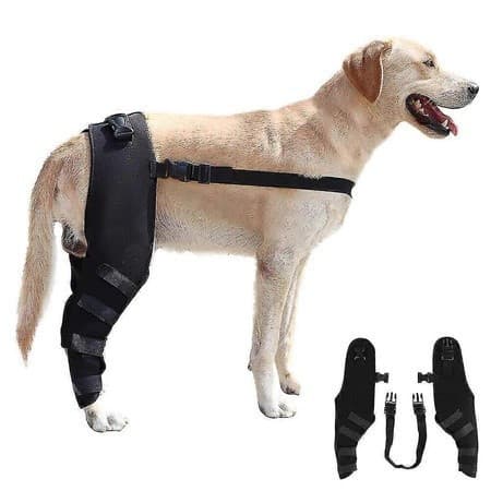 Suporte para as patas traseiras dos cães, joelheira USTO