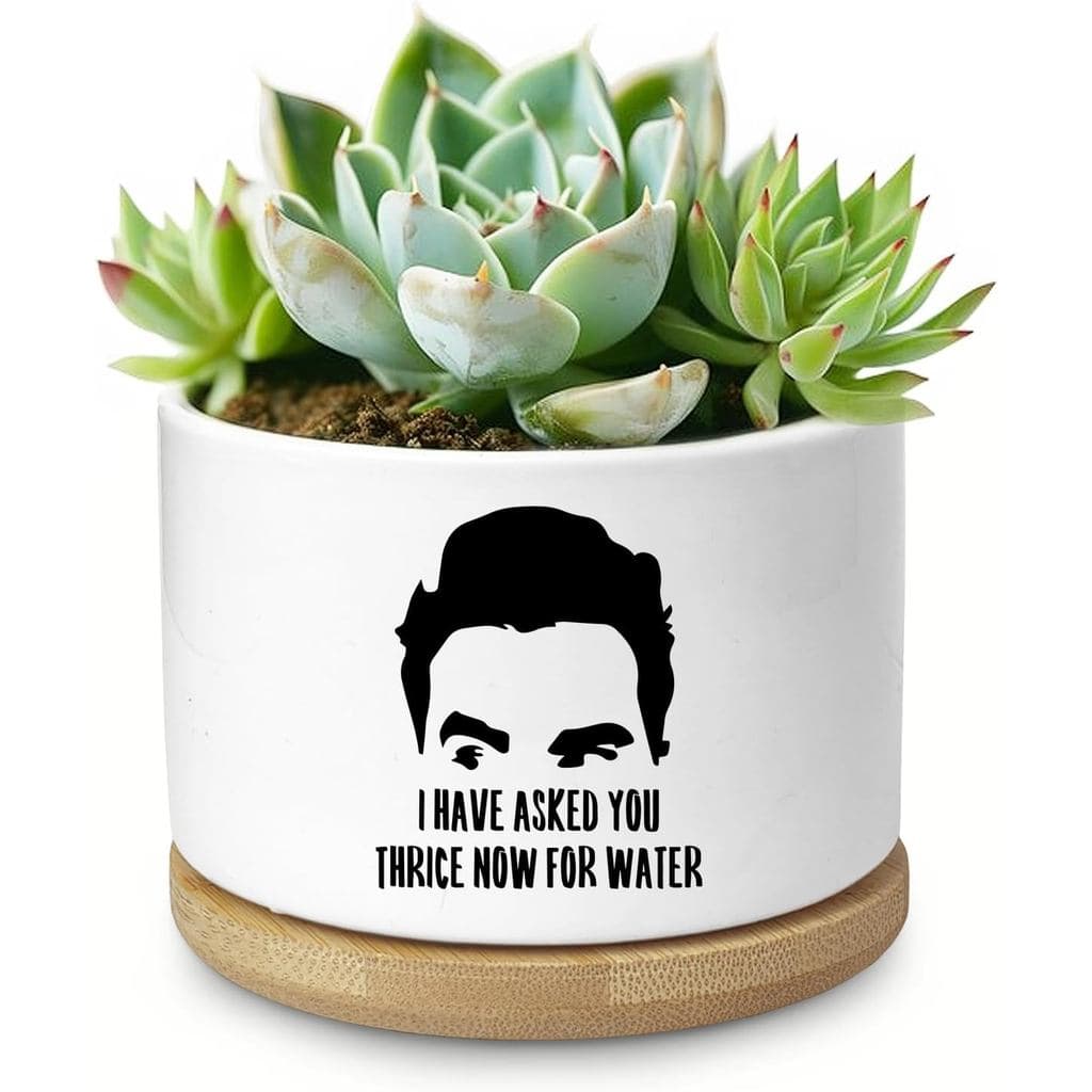Vaso Engraçado para Suculentas, Vaso para Cactos e Flores para Plantas de Interior, Vasos Divertidos com Drenagem e Band