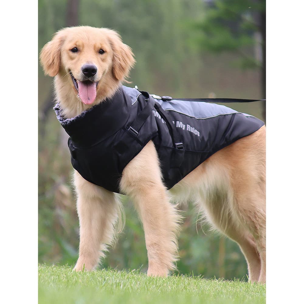Roupas de tração para cães outono inverno roupas médias grandes cães Golden Retriever Labrador Corgi engrossado inverno