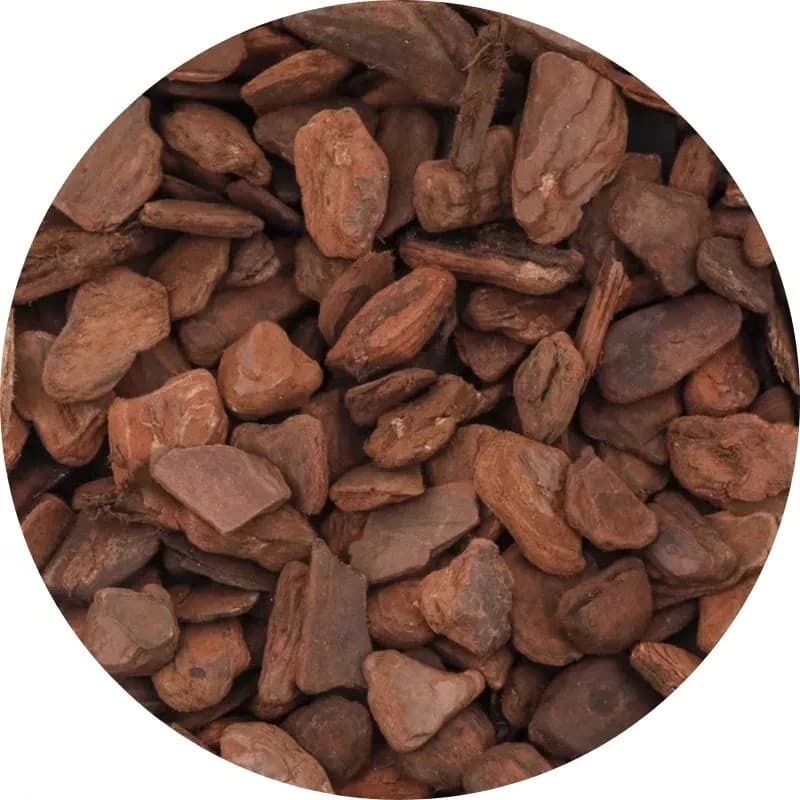 Casca De Pinus Polida Madeira Para Decoração De Vasos 4 a 12 Litros