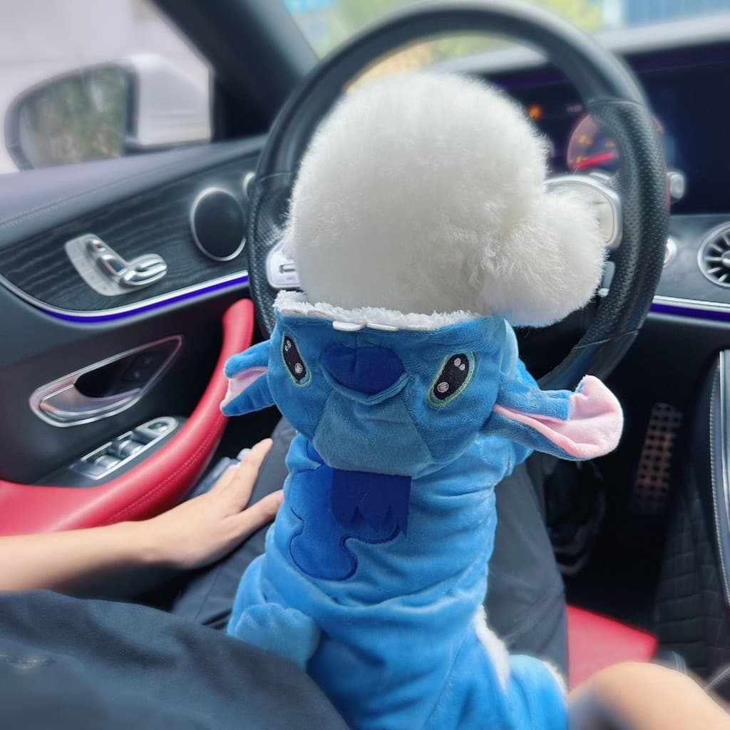 Roupas para cães outono inverno quente pequeno cão dos desenhos animados transformação roupas velo Snap-On jaqueta de al