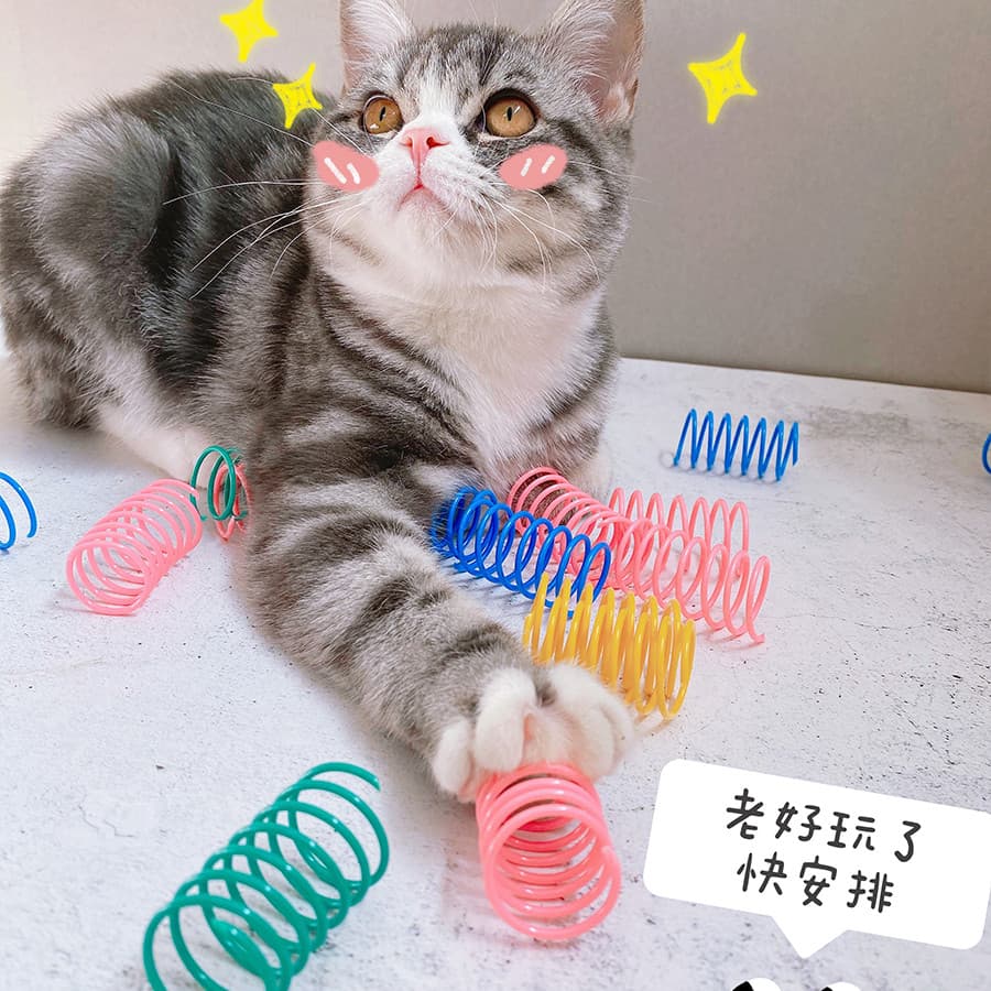 Papa Meow ~ gato brinquedo primavera gato brinquedo bola interativo jogar gato engraçado pequena primavera auto-feliz mu