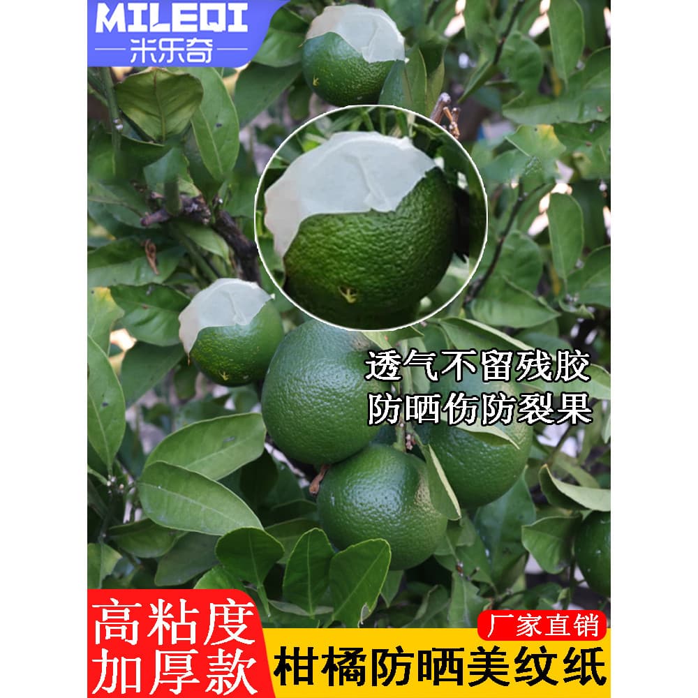 Adesivos protetores solares cítricos Adesivos especiais à prova de sol Árvore frutífera Frutas Protetor solar Adesivos d