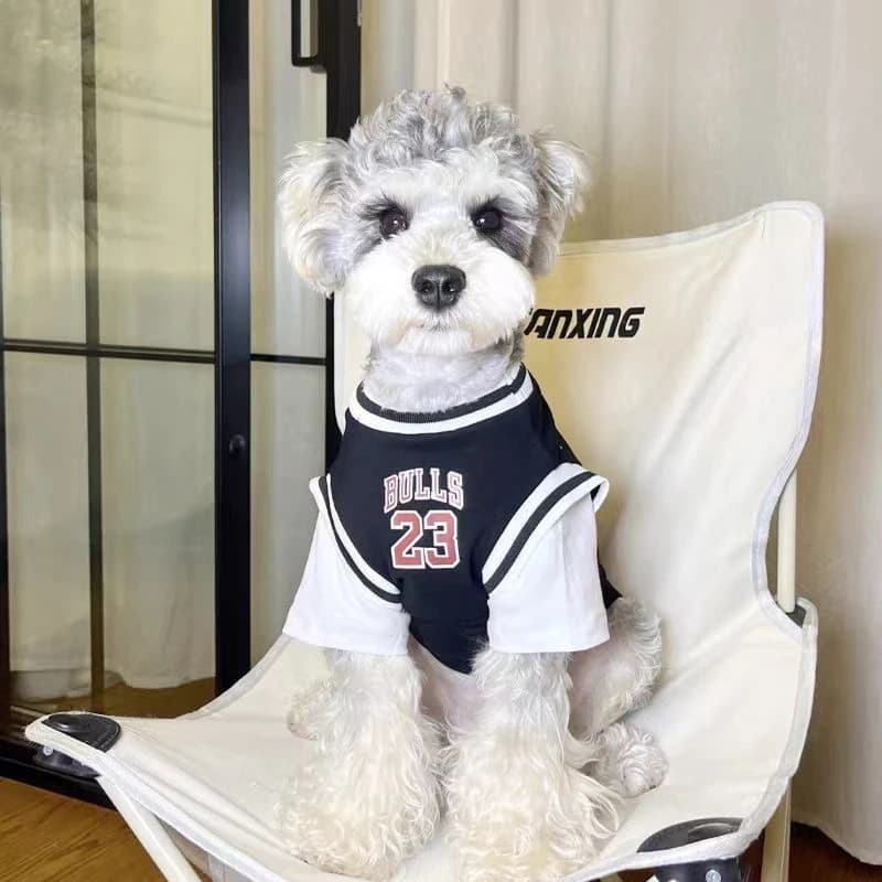 Roupas para cães verão malha fina roupas Schnauzer Teddy respirável confortável roupas influenciador roupas de gato verã