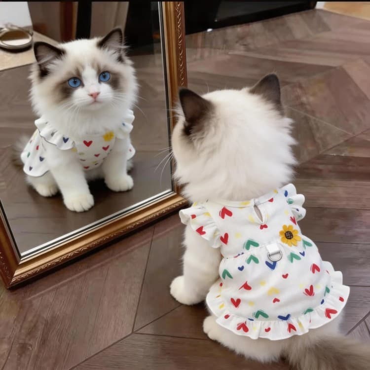 Roupas de gato verão estilo fino respirável dourado gradiente Muppets gatinhos Anti-lint cães de estimação tração saia d