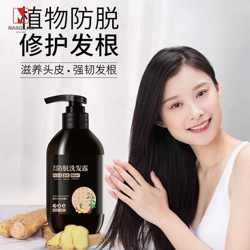 Gengibre sobre shampoo anti-perda gengibre velho gengibre shampoo anti-perda de crescimento capilar