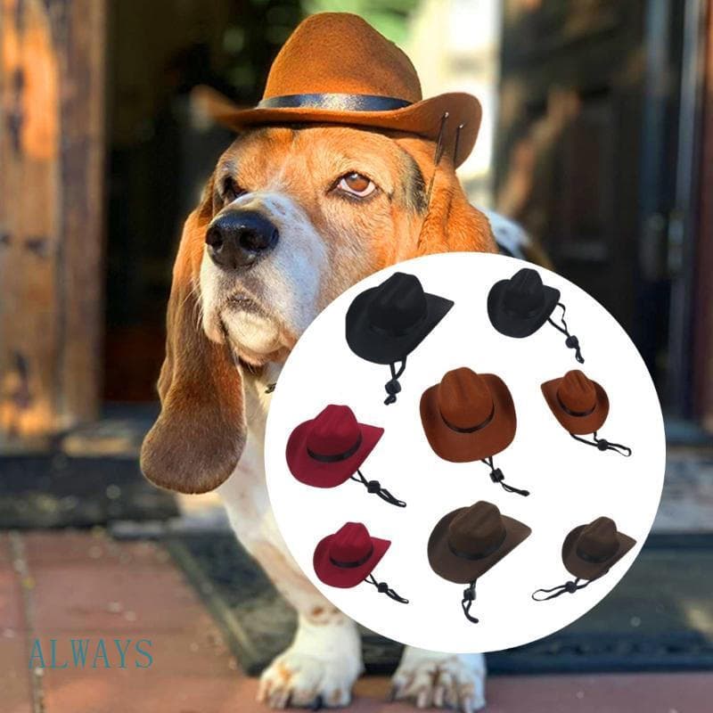 ALW Chapéu Jeans Reutilizável Para Animais De Estimação Cães E Gatos , Não Tecido , Confortável , Respirável , Fácil De