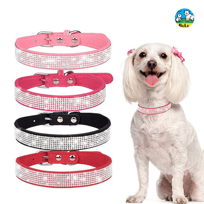 Coleira pet Coleira diamante Ajustável Antiqueda Strass Coleira cachorro Cachorro pequeno Cristal