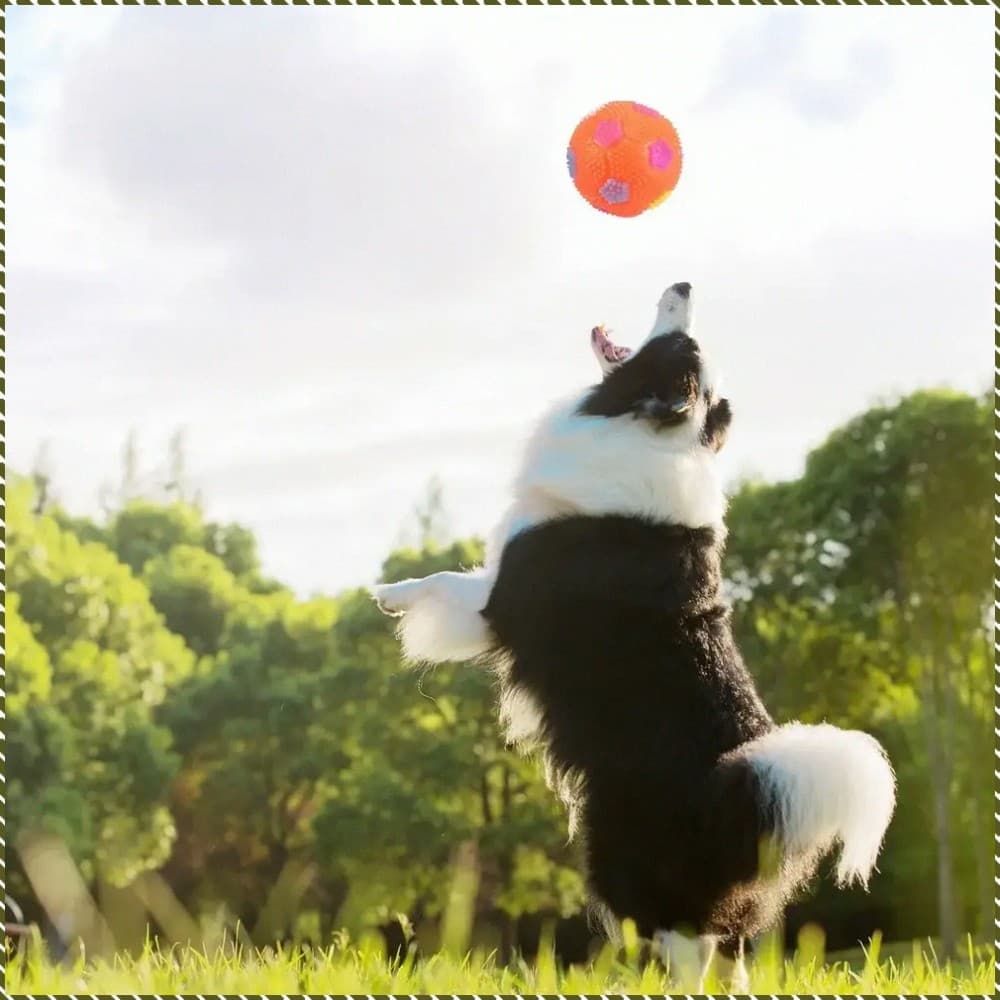 [Para Treino] Kit De Brinquedos Para Cachorro/Brinquedo Sonoro/Brinquedo Interativo/Conjunto De