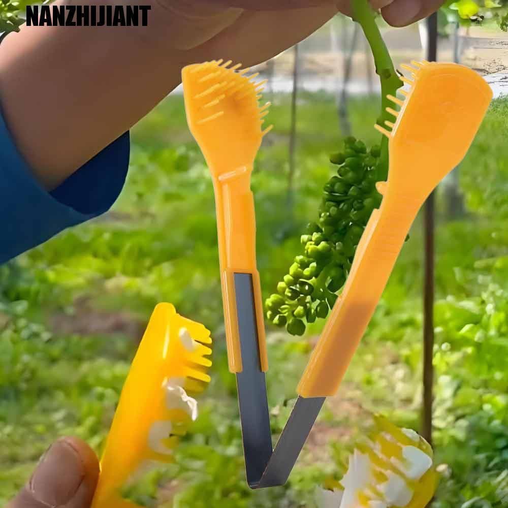 NANZHIJIANT 2 Unidades De Pente Mais Fino De Uva , Aderência Ergonômica , Ferramenta De Desbaste De Flores Eficiente