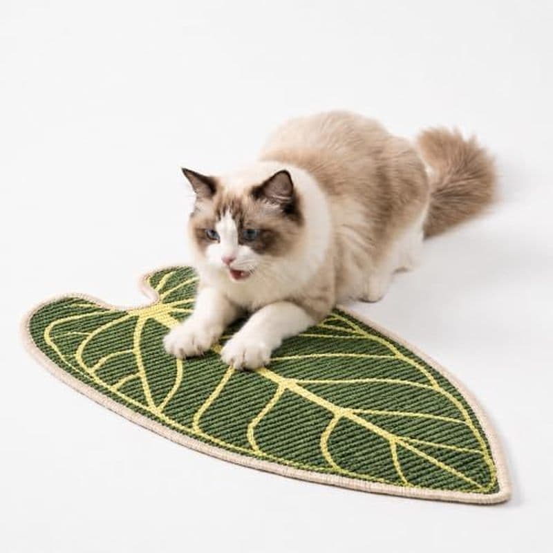 Arranhador De Gato De Sisal Em Forma De Folha Natural Para Parede E Piso , Almofada Grande Arranhar Gatos Proteção De Mó