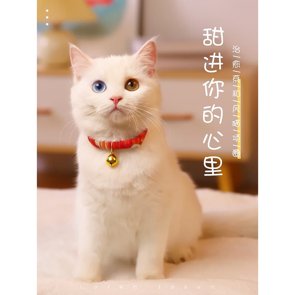 Coleira de gato coleira de sino de gato coleira de gato colar decorativo coleira de cachorro gatinho colar de gato jóias