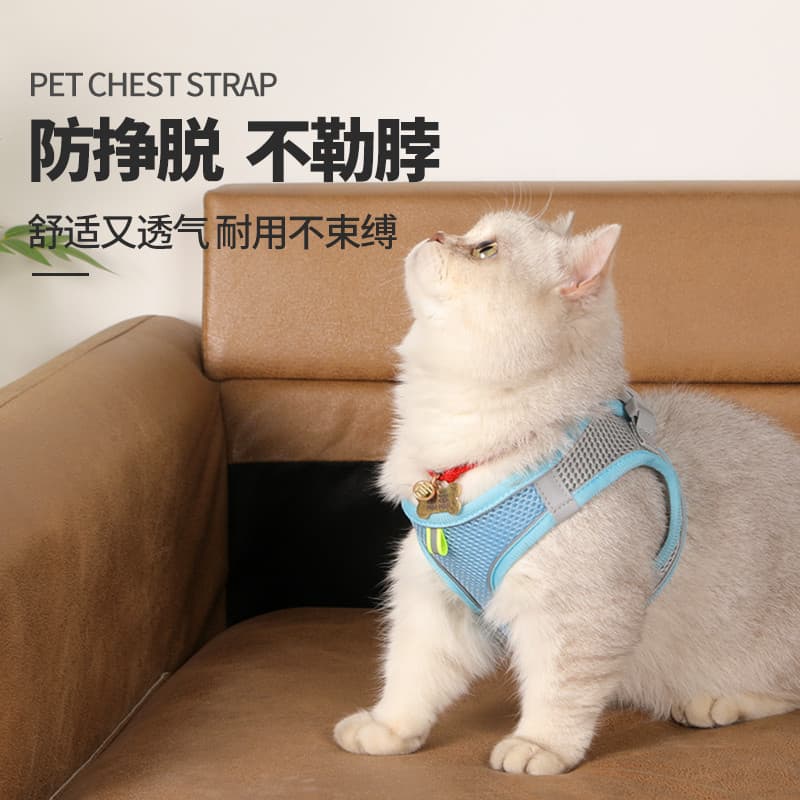 Cão cão cinta gato trela cão andando cão andando gato filhote de cachorro colete estilo peito volta influenciador pequen