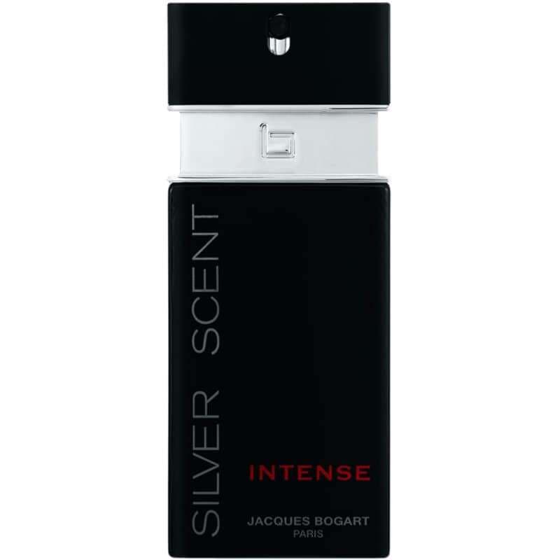 Perfume Silver Scent Intense Masc Edt 100ml