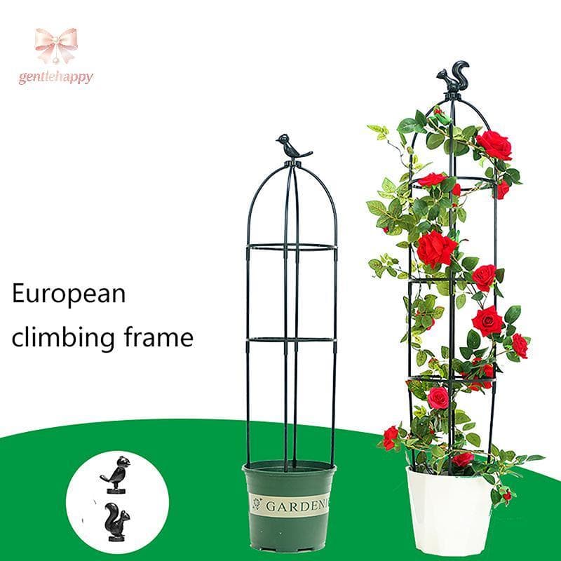 Gentlehappy 1 Conjunto De Plantas De Escalada Treliça Gaiolas De Suporte De Jardim Para Flores Quadro DIY Flor Videiras