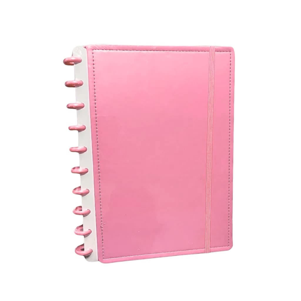 Caderno 8 Discos Inteligente com elastico 80 Folhas Pautadas