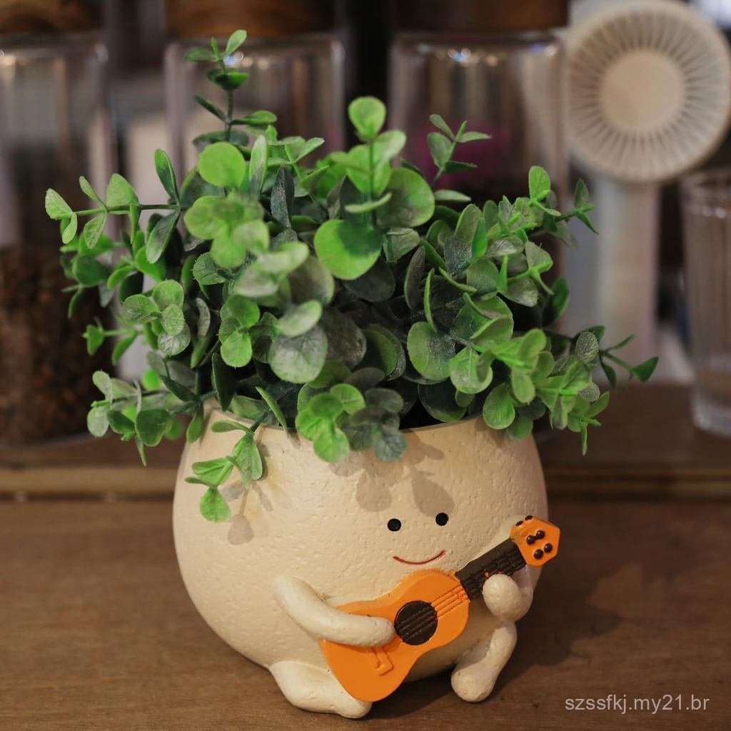 Vaso de Plantas com Furo de Drenagem, Vaso de Resina em Forma de Cabeça para Planta "String of Pearls", Vasos Únicos par