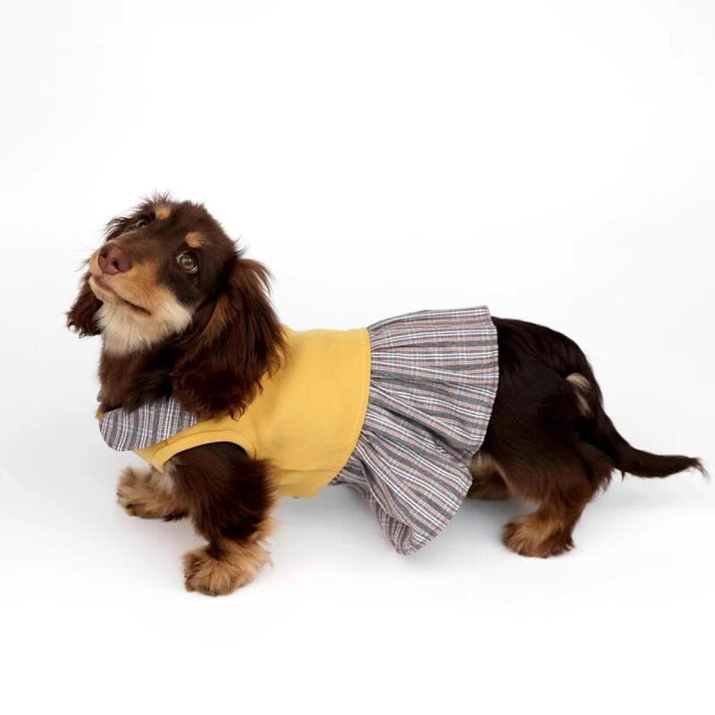 Vestido para Animais de Estimação para Cães e Gatos Pequenos a Médios - Confortável, Ajuste Seguro com Anexo para Coleir