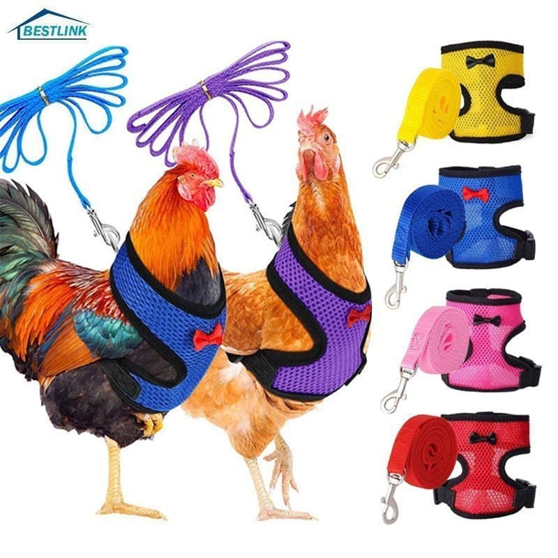 Colete De Malha Respirável Bestlink2 Ganso Para Galinha Pato Aves De Capilaria Arreios Animais De Estimação Com Treiname