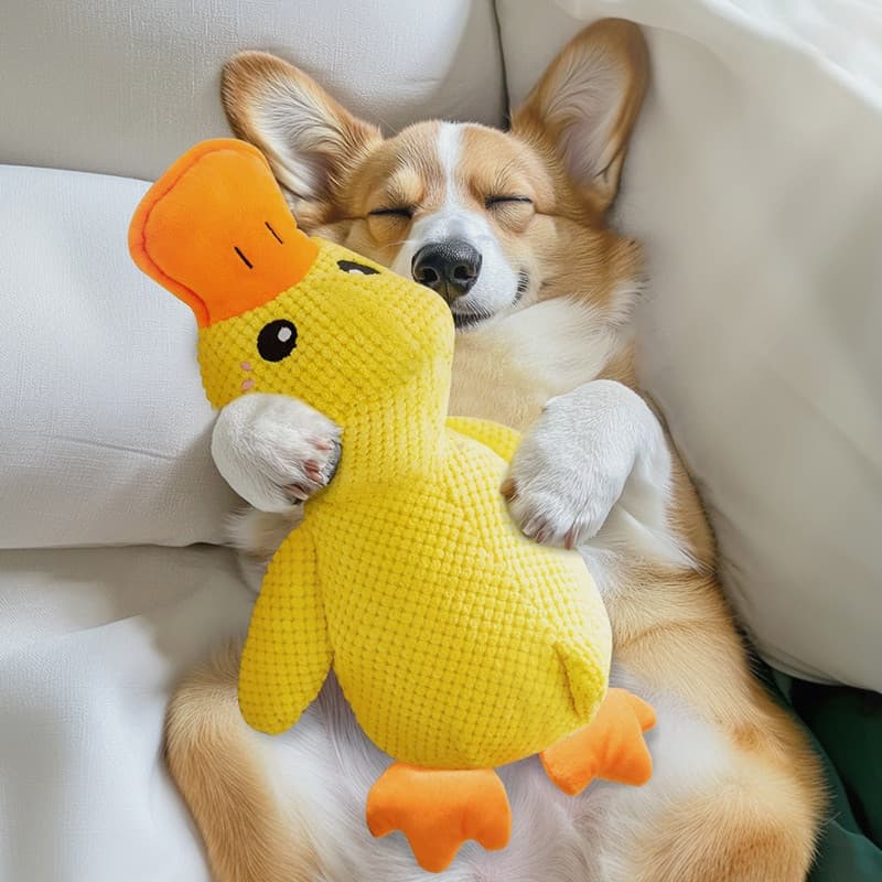 Brinquedo de Pato com Som para Cães e Gatos, Mordedor de Pelúcia para Interação · Coleção Horizonte