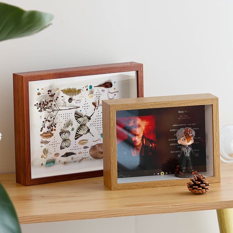 Diy tridimensional oco espécime quadro planta artesanal concha argila flor seca preservação armazenamento concha mesa fo