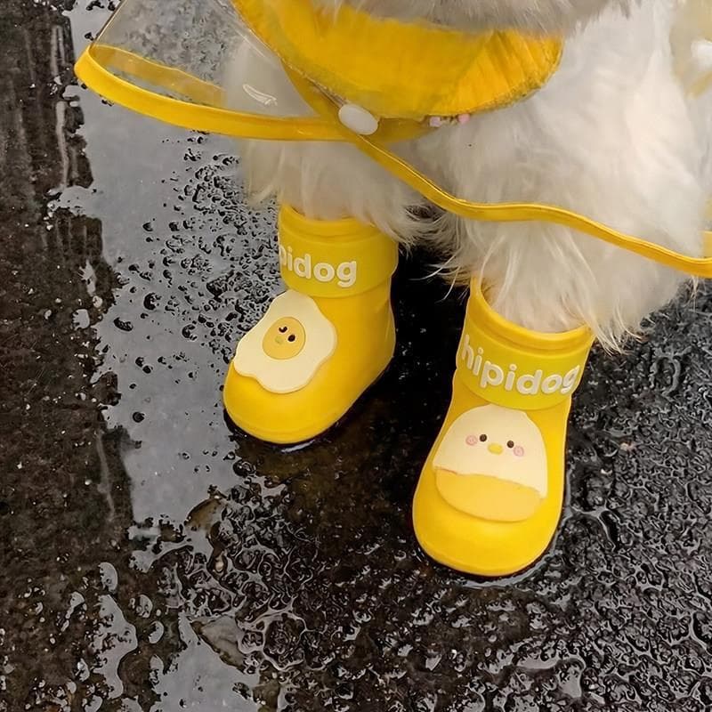Botas de chuva para cães, sapatos para cachorros pequenos, Bichon, sola macia, não pode sair, sapatos para animais de es