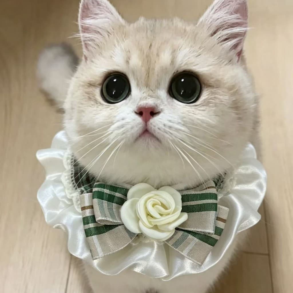 Novo estilo camélia na moda jogar boneca Muppet Pet babador Saliva bolso fresco gato cão adequado