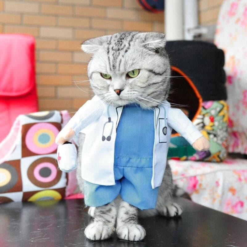 Fantasias Engraçadas para Animais de Estimação, Fantasias Fofas para Gatos, Fantasias Engraçadas para Gatos e Cães, Fant