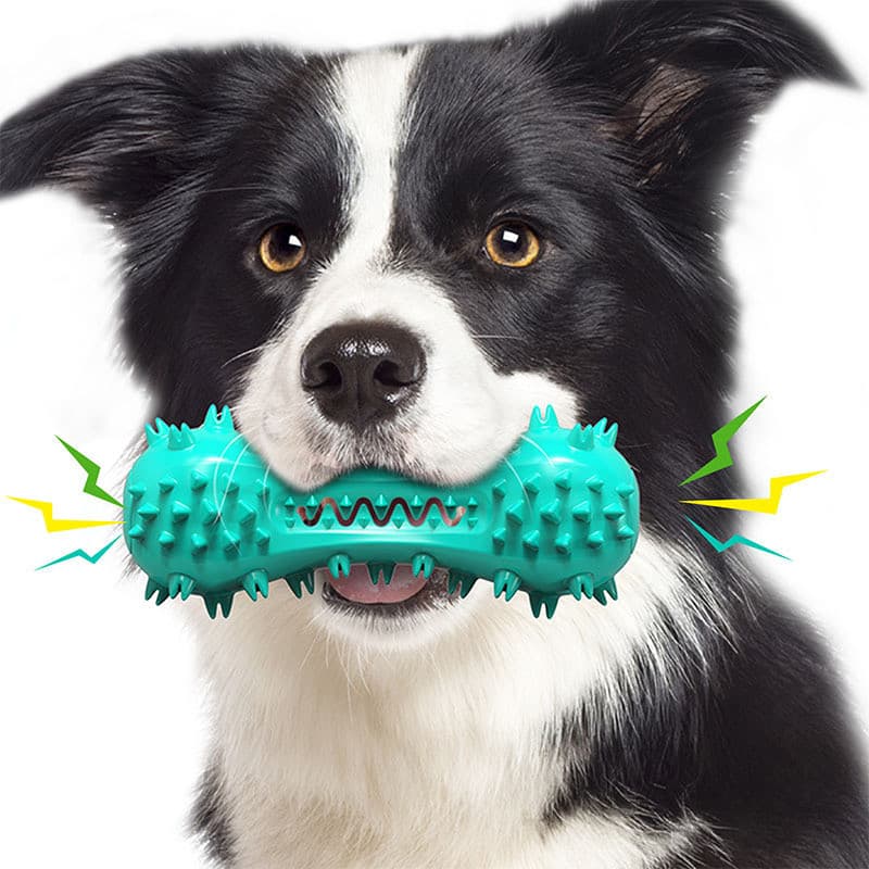 Suprimentos para animais de estimação: mordedor, bola de brinquedo para cães com som, escova de dentes para cães, brinqu