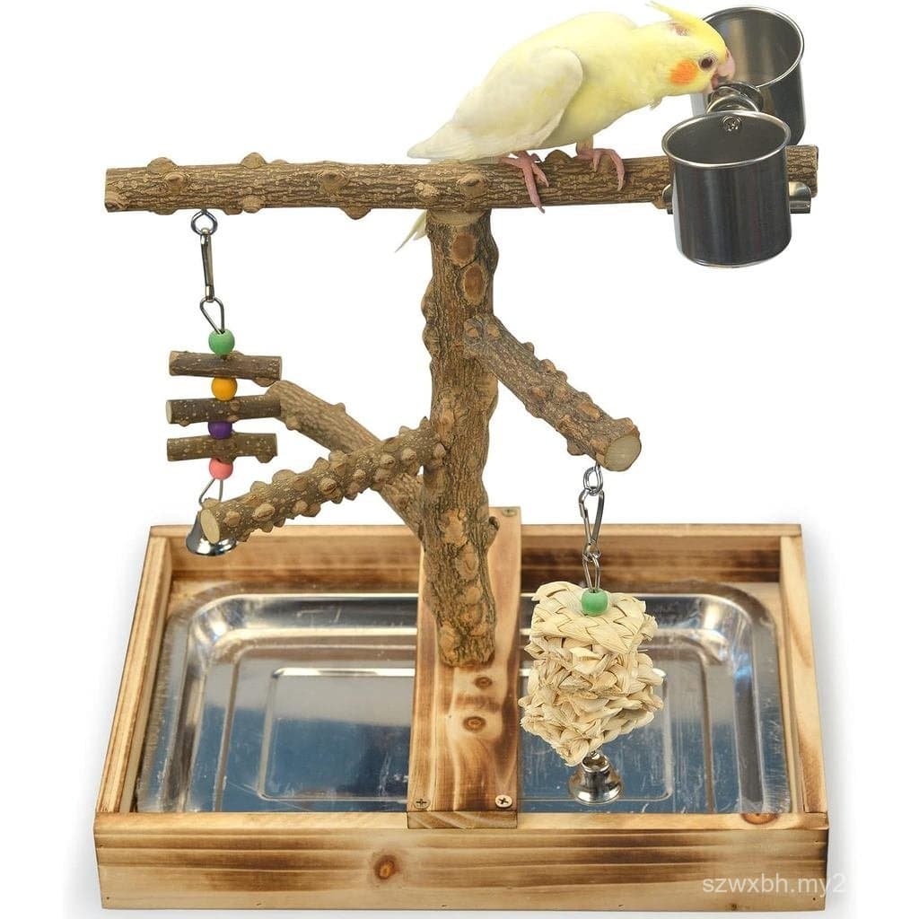 Brinquedos de Madeira Natural para Pássaros, Acessórios para Gaiolas de Pássaros, Poleiros para Pássaros, com Bandeja Re