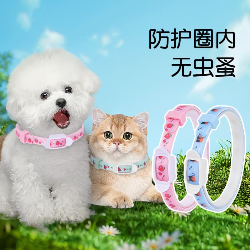 Coleira para gato e gato, estilo fofo, filhote de cachorro, gato, não estrangular, coleira para animais de estimação, ga