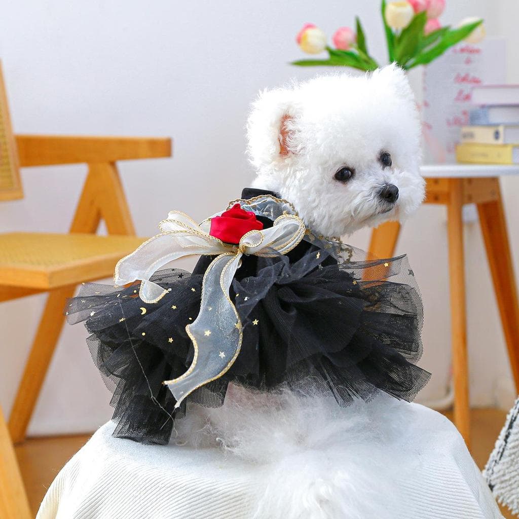 Preto gaze Puff saia roupas para cães primavera outono roupas gato princesa tração roupas cães pequenos Teddy Pet Bichon
