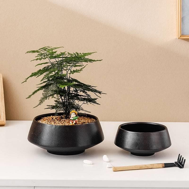 Vaso de cerâmica combinação de couro preto suculenta planta verde samambaia forma criativa nórdico simples hidropônico m