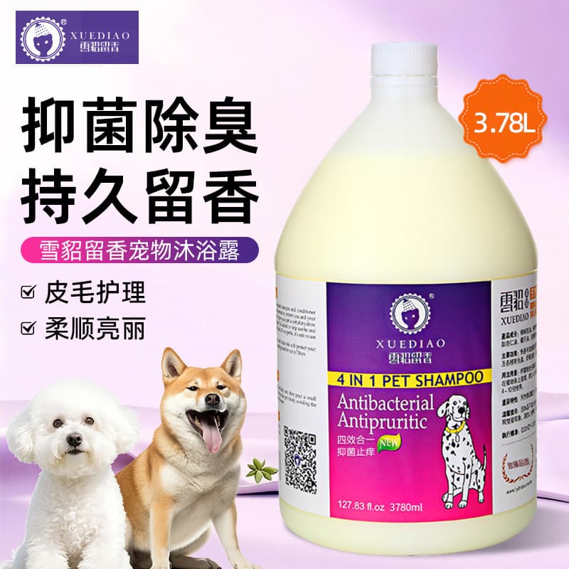 Furão Pet corpo lavagem grande barril cão antibacteriano desodorante fragrância banho líquido Teddy dedicado Golden Retr