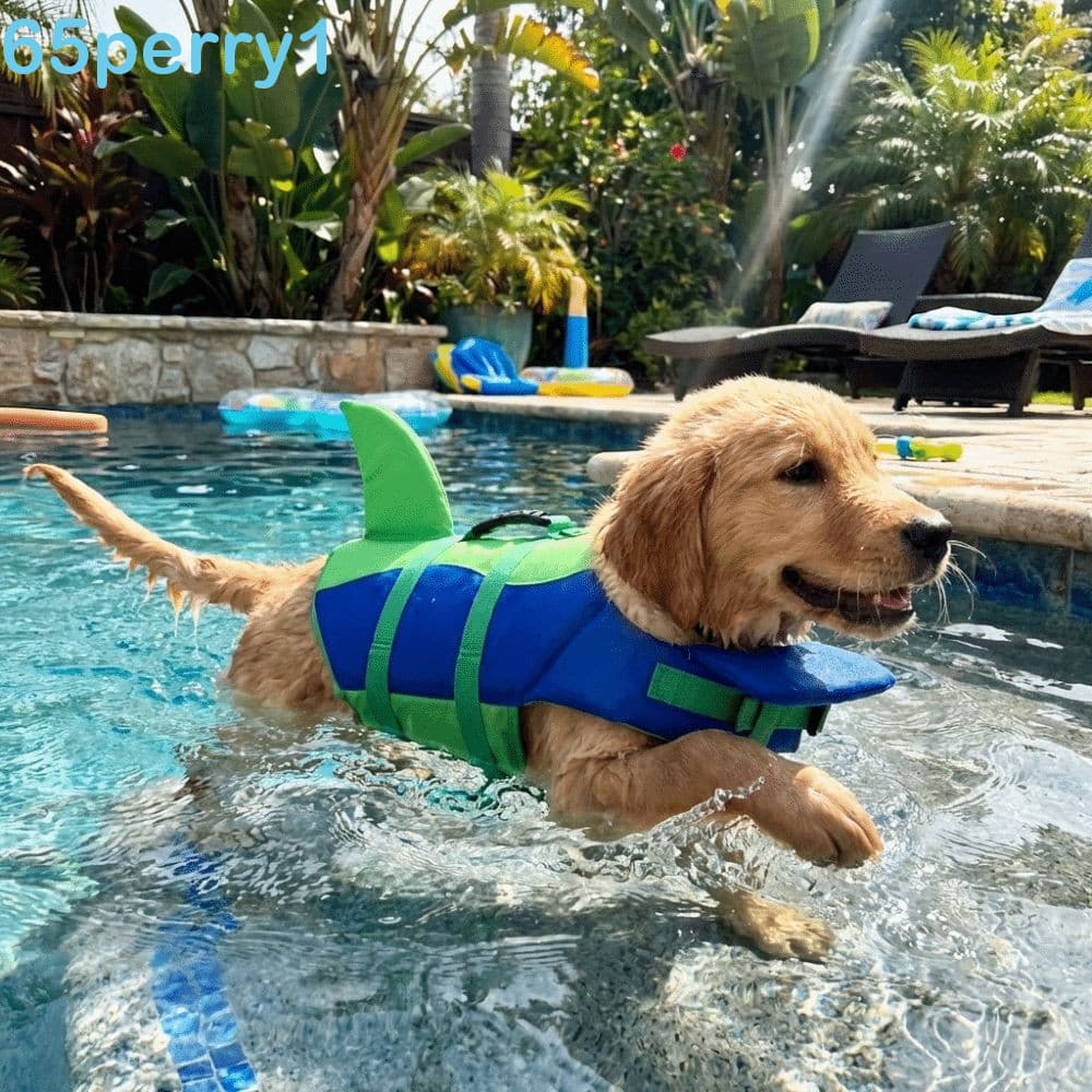 PERRY1 Colete Salva-Vidas Para Cães , Animais De Estimação De Alta Visibilidade Com Flutuabilidade Superior , Traje De B